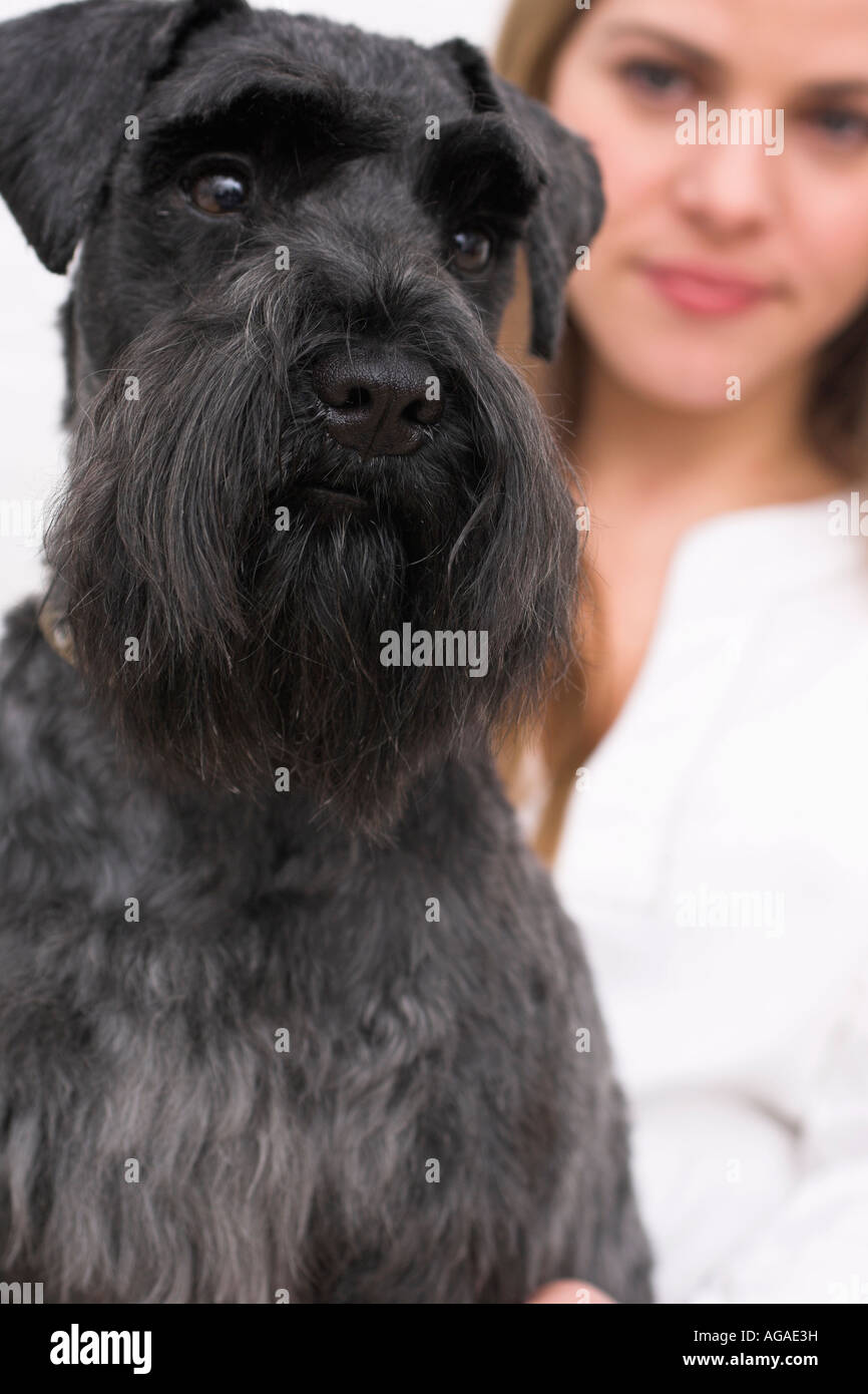 Porträt der schwarzen Schnauzer Hund mit jungen Frau im Hintergrund