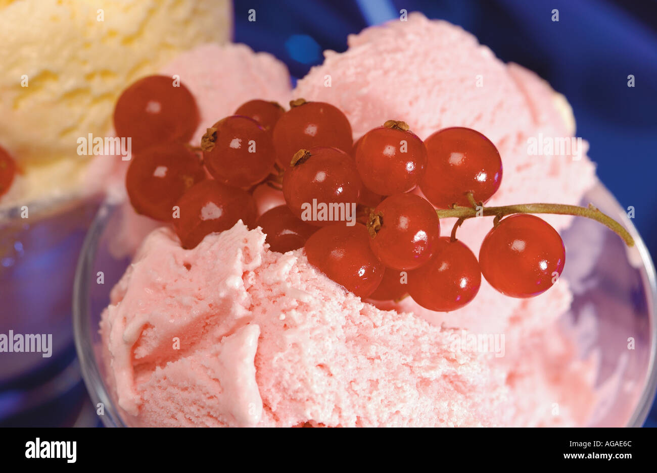 Nahaufnahme von Erdbeer- und Vanilleeis mit frischem Dessert aus roten Johannisbeeren Stockfoto
