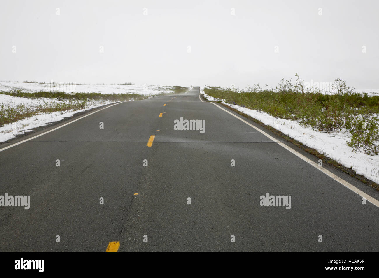 Ende Juni Schnee auf dem Denali Highway, Alaska Stockfoto