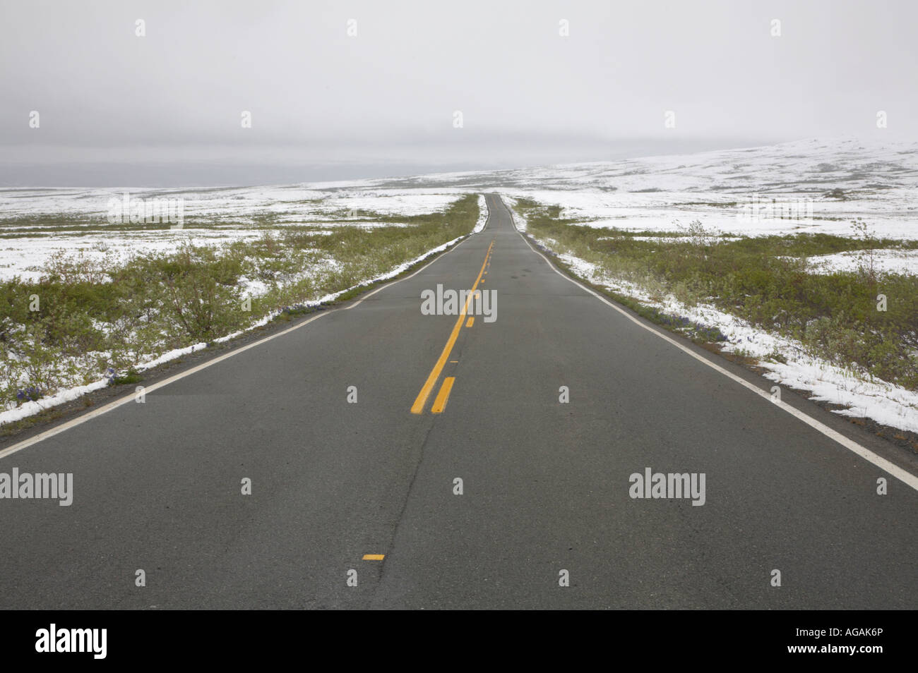 Ende Juni Schnee auf dem Denali Highway, Alaska Stockfoto