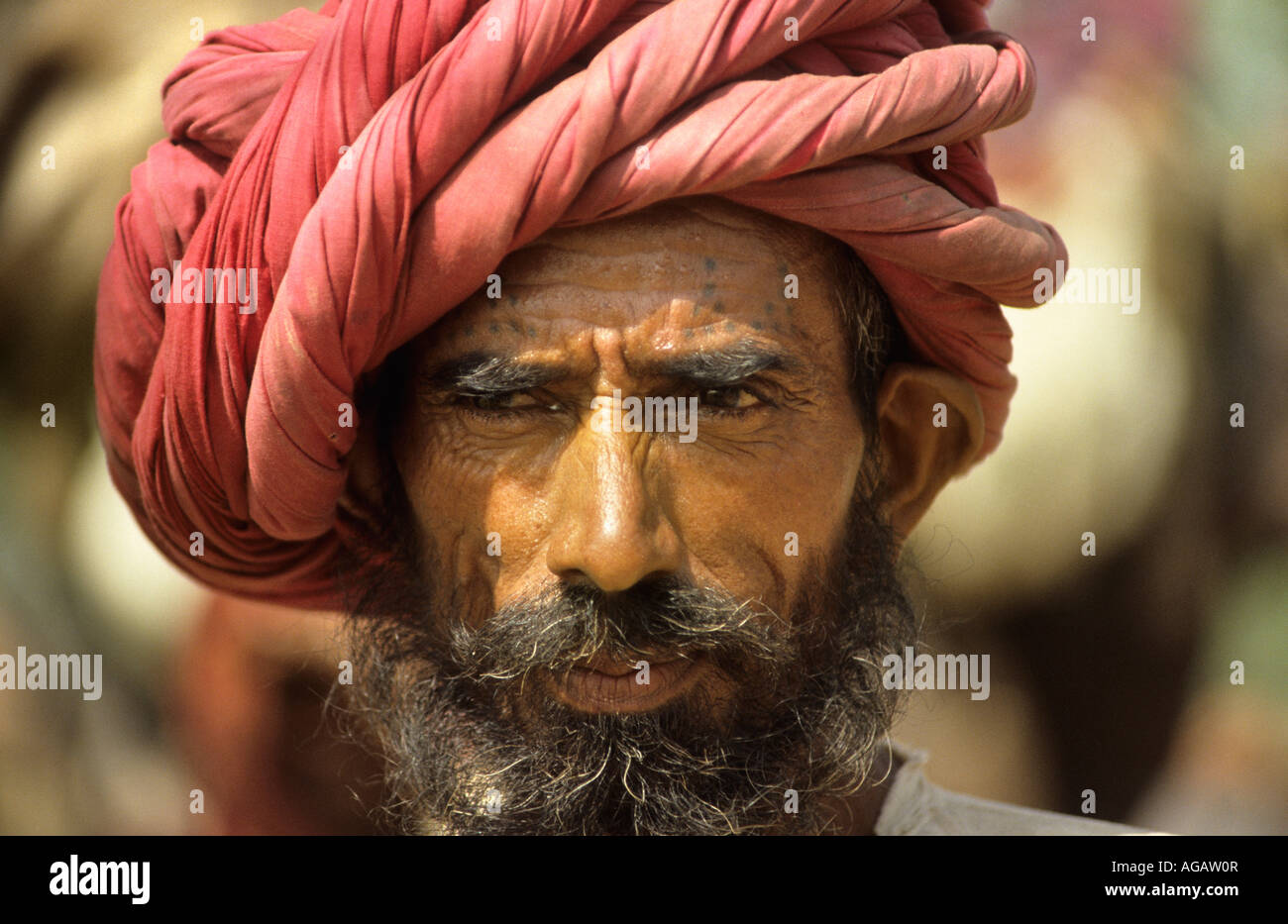 Indien, Amer, Rajasthan, Mann mit turban Stockfoto