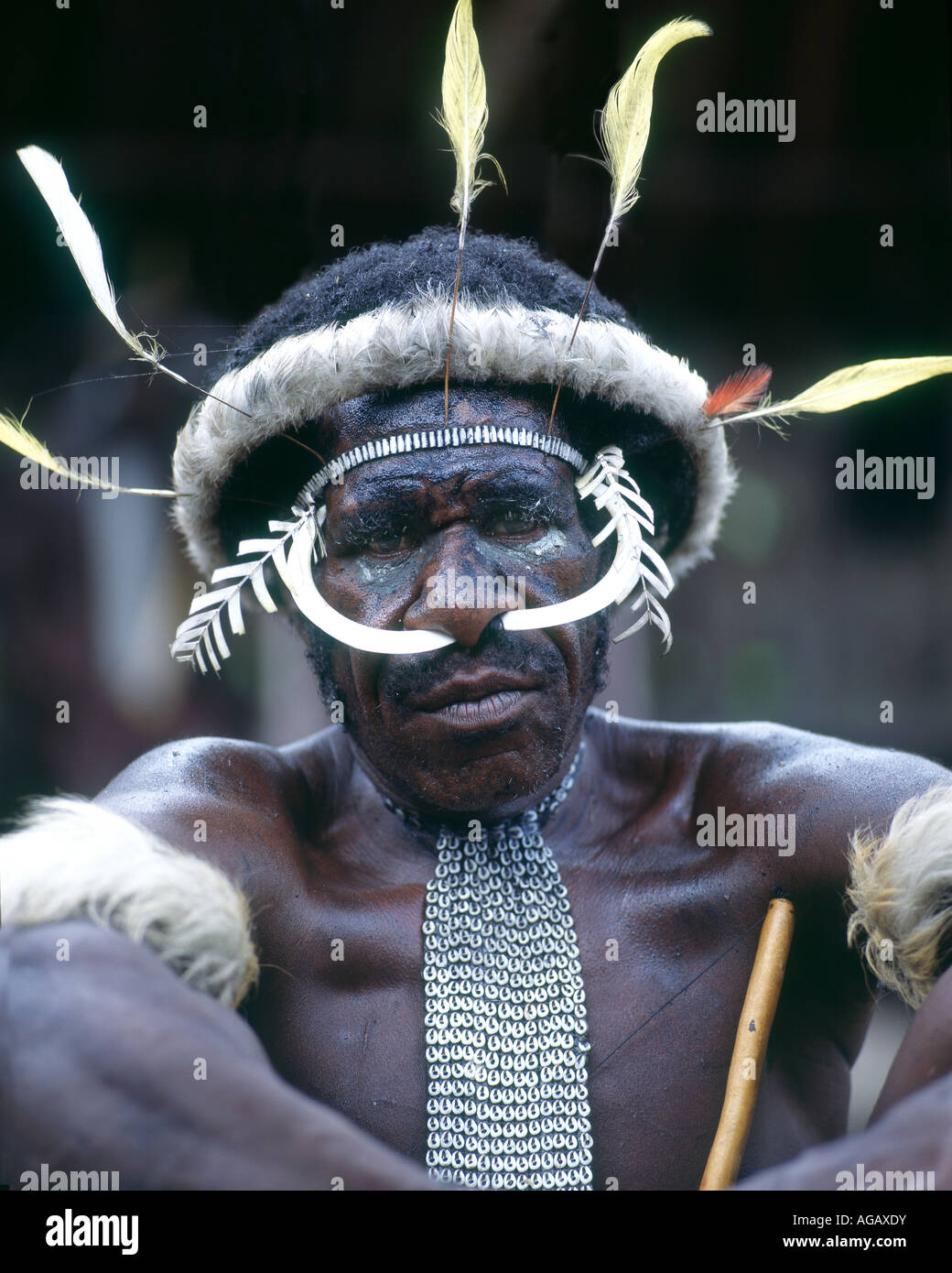 Dani Stammesangehörige, Irian Jaya, Indonesien Stockfoto