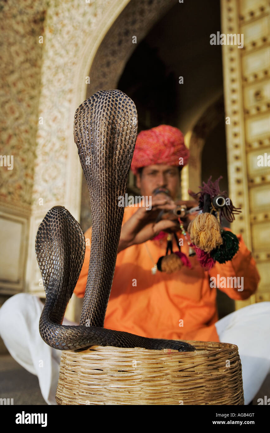 Schlangenbeschwörer vor dem City Palace Complex in Jaipur zwei Spektakel Kobras in markanten Stellen Indien Stockfoto