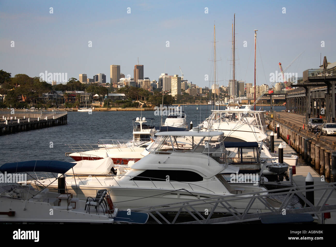 Pyrmont Hafen Häuser von Waterfront mit Schiffen in der Marina in Sydney New South Wales NSW Australia Stockfoto