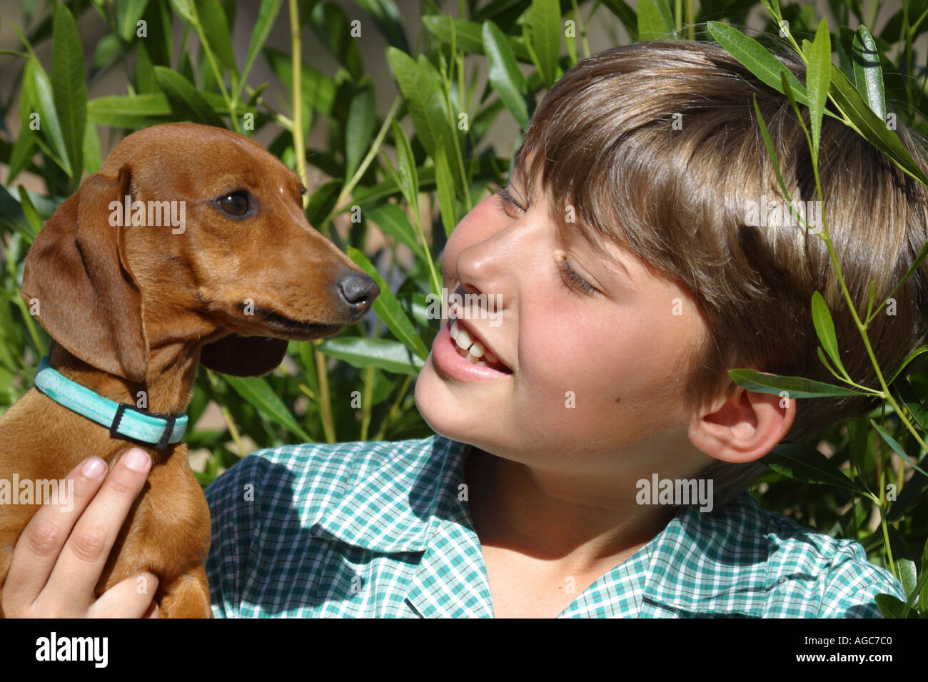 Junge Mädchen ihrem Dackel Hund halten und Lächeln Stockfoto