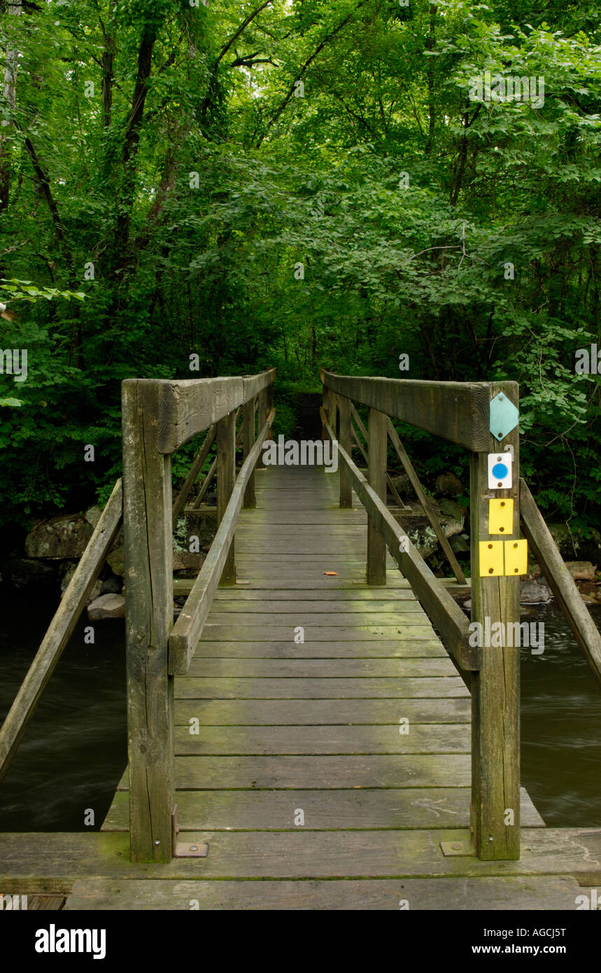 Wanderweg überqueren eine Stream "New Jersey" Hochland-region Stockfoto