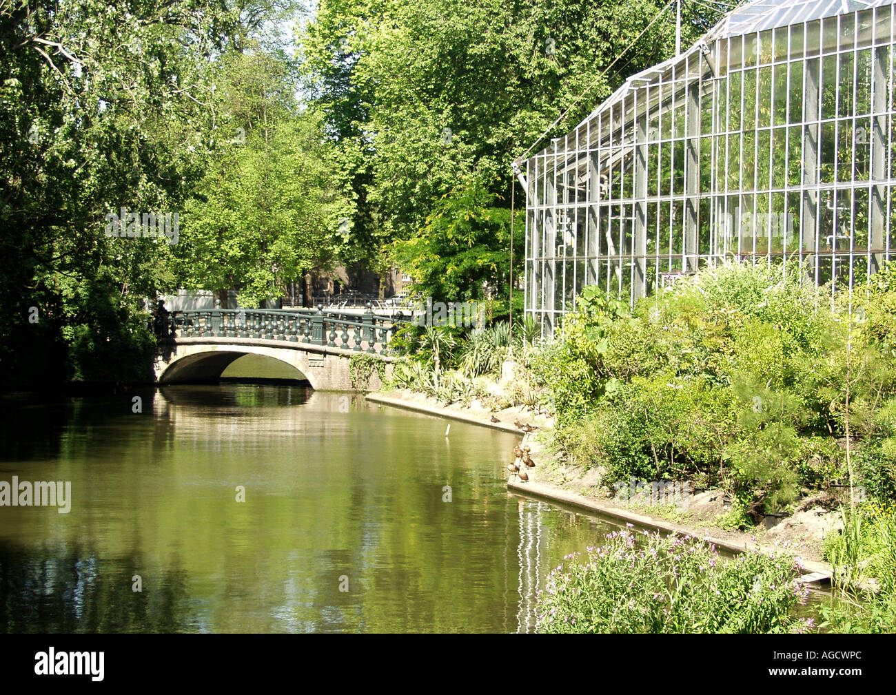 Hortus Botanicus - Amsterdam Stockfoto