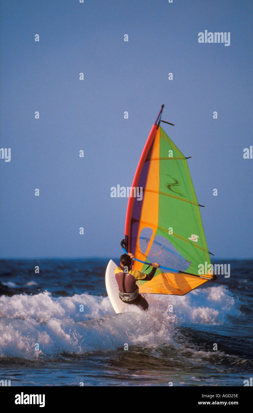 Windsurfen am Meer Malta Stockfoto