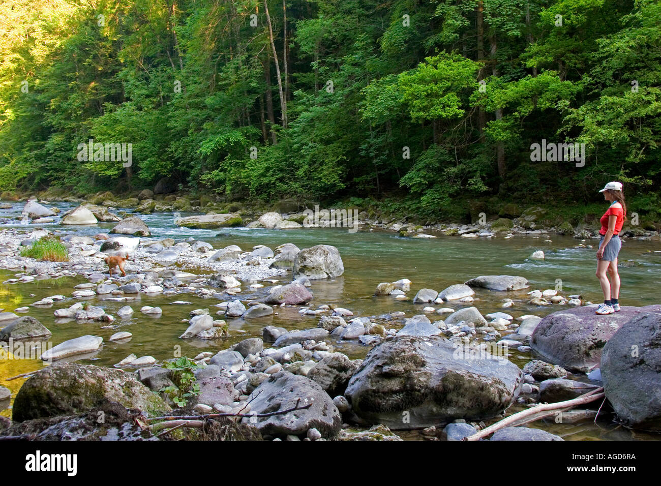 Eine Frau geht ihren Hund entlang eines Flusses in den Schweizer Alpen in der Nähe von Zürich. Stockfoto