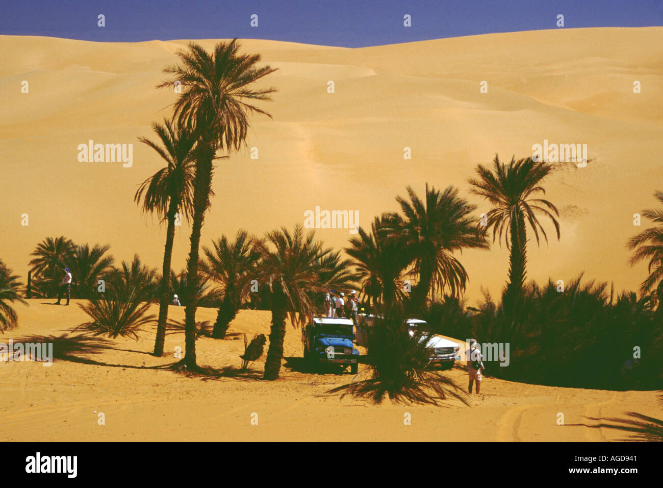Revolutionsfuehrer Wüste Sahara Oase von Gabroon Libyen Sahara Oase in der Wüste von Gabroon Stockfoto