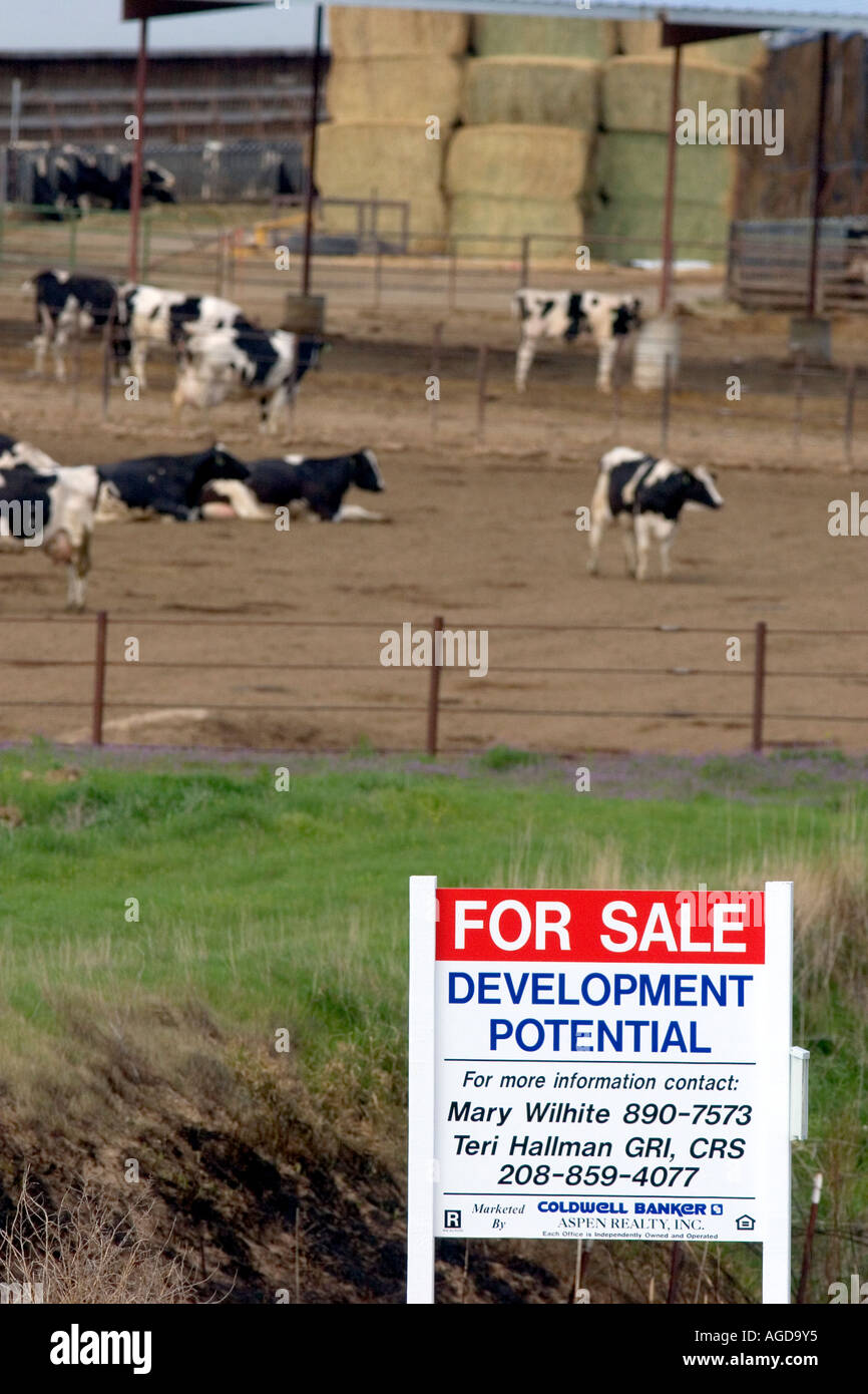 Ein Milchviehbetrieb verkauft für Wohnanlage im Canyon County, Idaho. Stockfoto