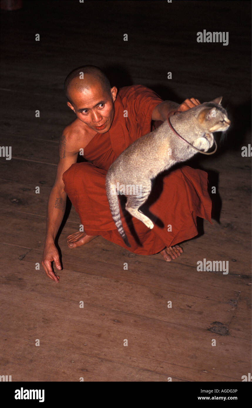 Myanmar, Inle-See, buddhistischer Mönch mit Katze springen Stockfoto