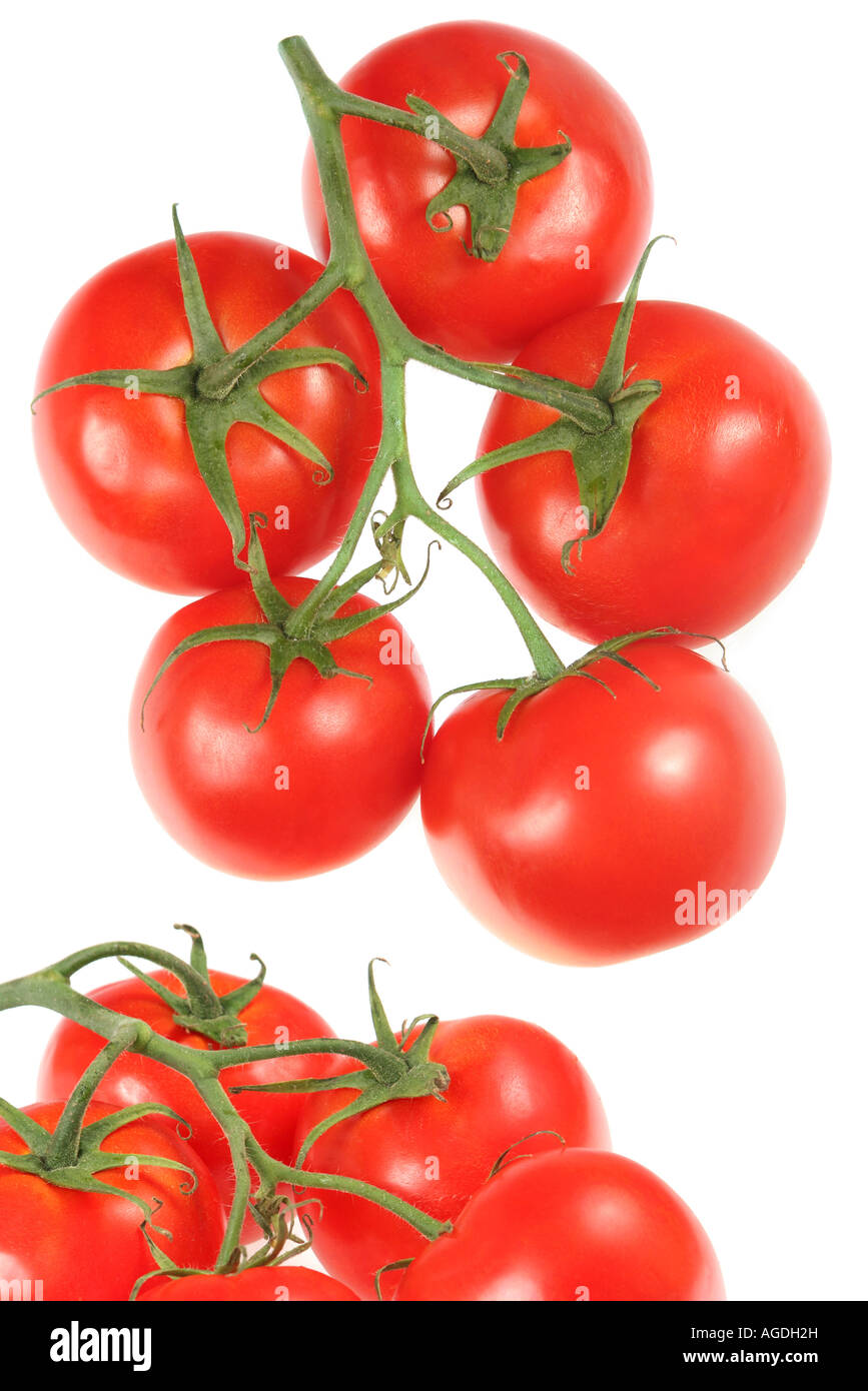 Rote Tomate Obst isoliert auf weißem Hintergrund Stockfoto