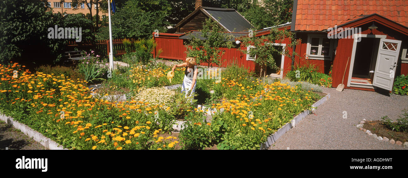 Frau, Bewässerung Blumen in schönen Garten auf Master Pers Grand in Stockholm Stockfoto
