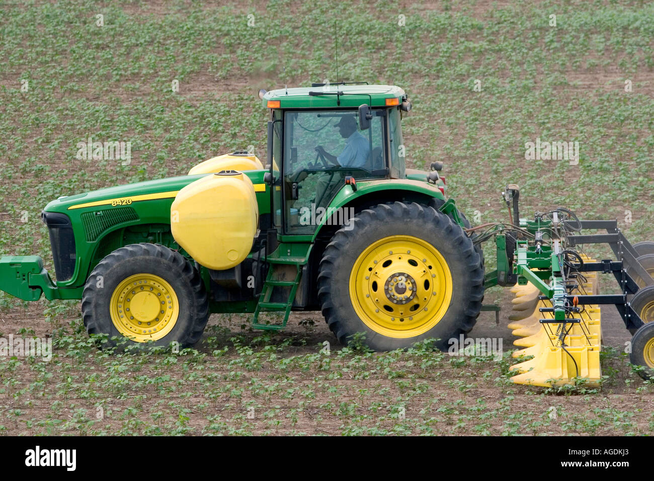 John Deere Traktor sprühen eine Ernte von Baumwolle. Stockfoto