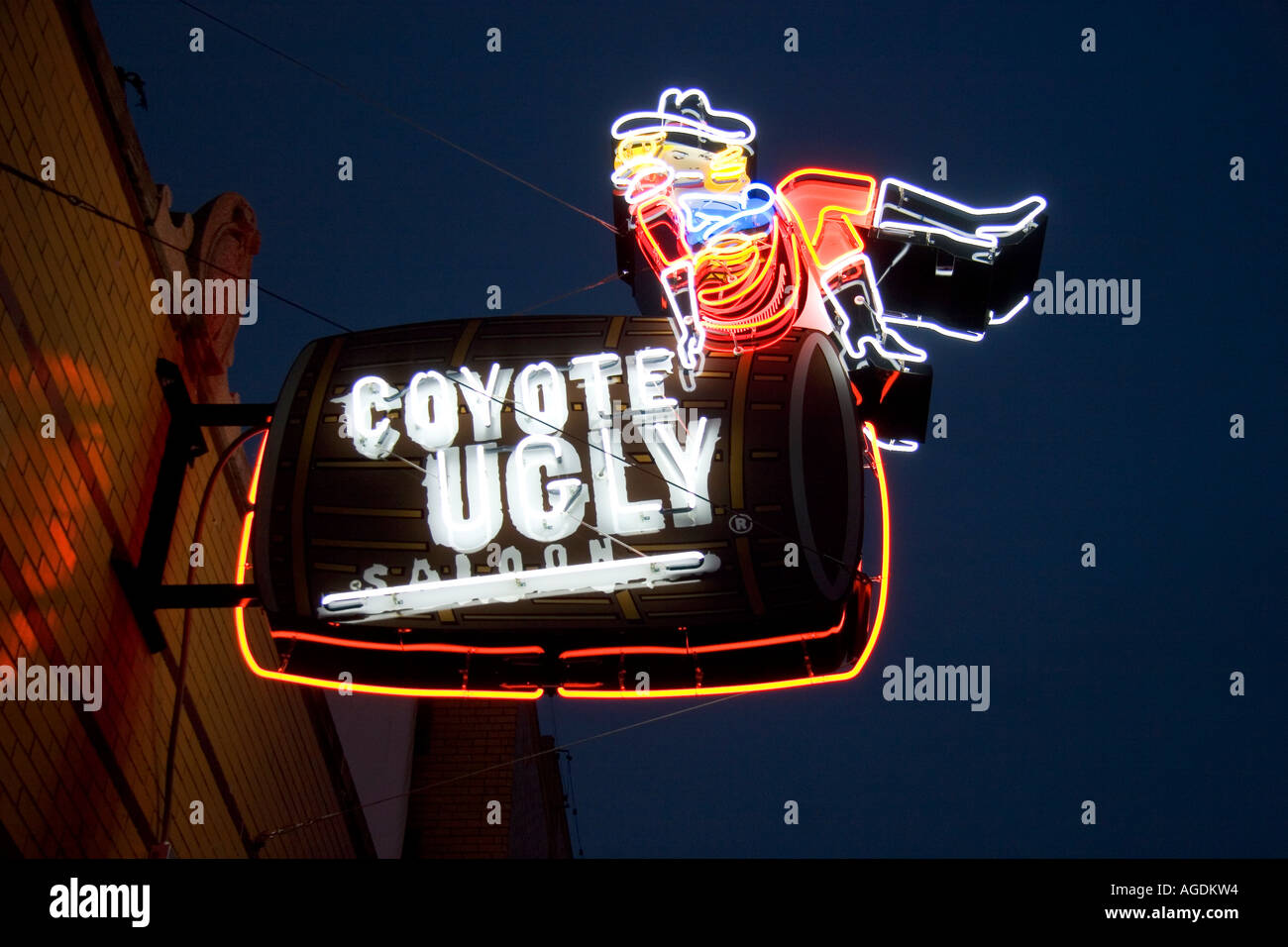 Coyote Ugly Saloon Leuchtreklame auf der Beale Street in Memphis, Tennessee. Stockfoto