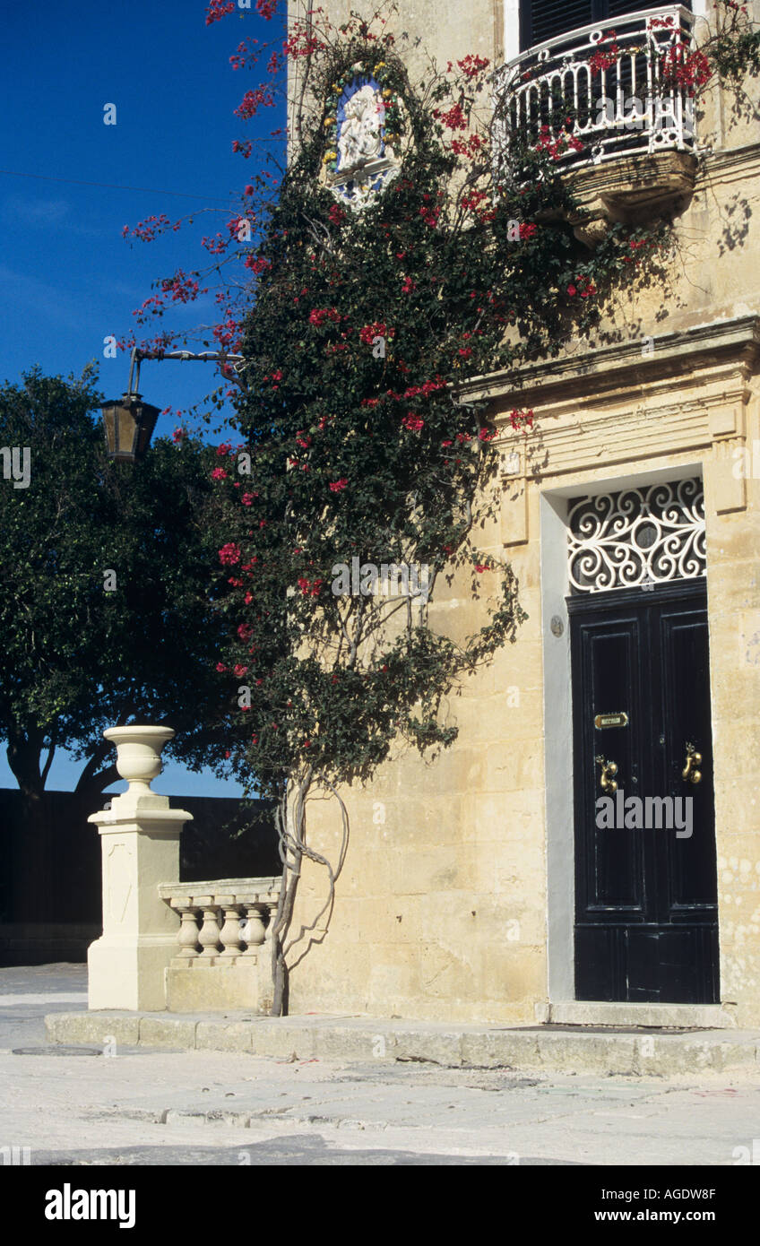 Schwarze Tür und Bougainvillea Mdina Malta Stockfoto