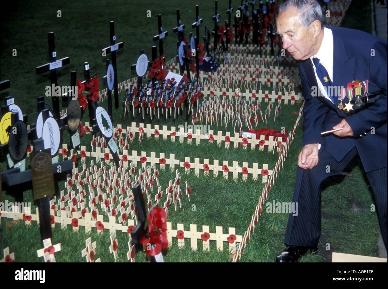 Ein alter Soldat legt ein Kreuz für den Krieg tot aus seinem Bataillon am Tag des Waffenstillstands, Rasen an Westminster Abbey, London Stockfoto