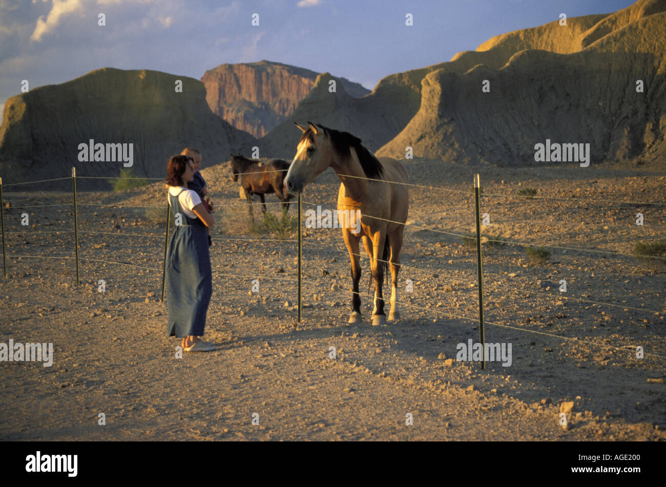 Vereinigte Staaten von Amerika USA amerikanische Mutter mit Kind ein Pferd Stockfoto