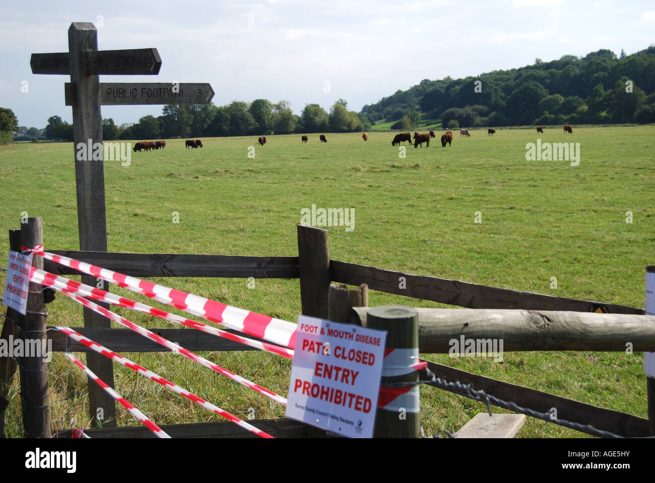 Ausbruch der Maul- und Klauenseuche "Eintritt verboten" Schilder, Runnymede, Surrey, England, Vereinigtes Königreich Stockfoto