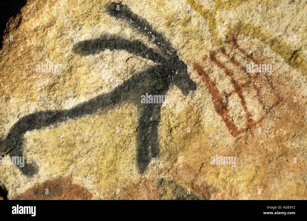 Replikat Malerei Höhlenkunst Tier mit langen Ohren und eine geometrische abstrakte Muster Lascaux Höhle Montignac Dordogne Frankreich Stockfoto