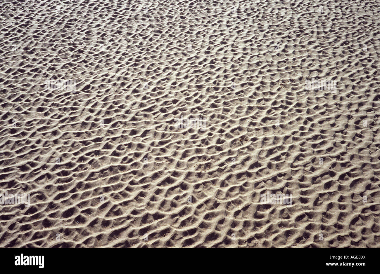 Gemusterte Sand bei Ebbe, Camber Sands, East Sussex, UK. Stockfoto