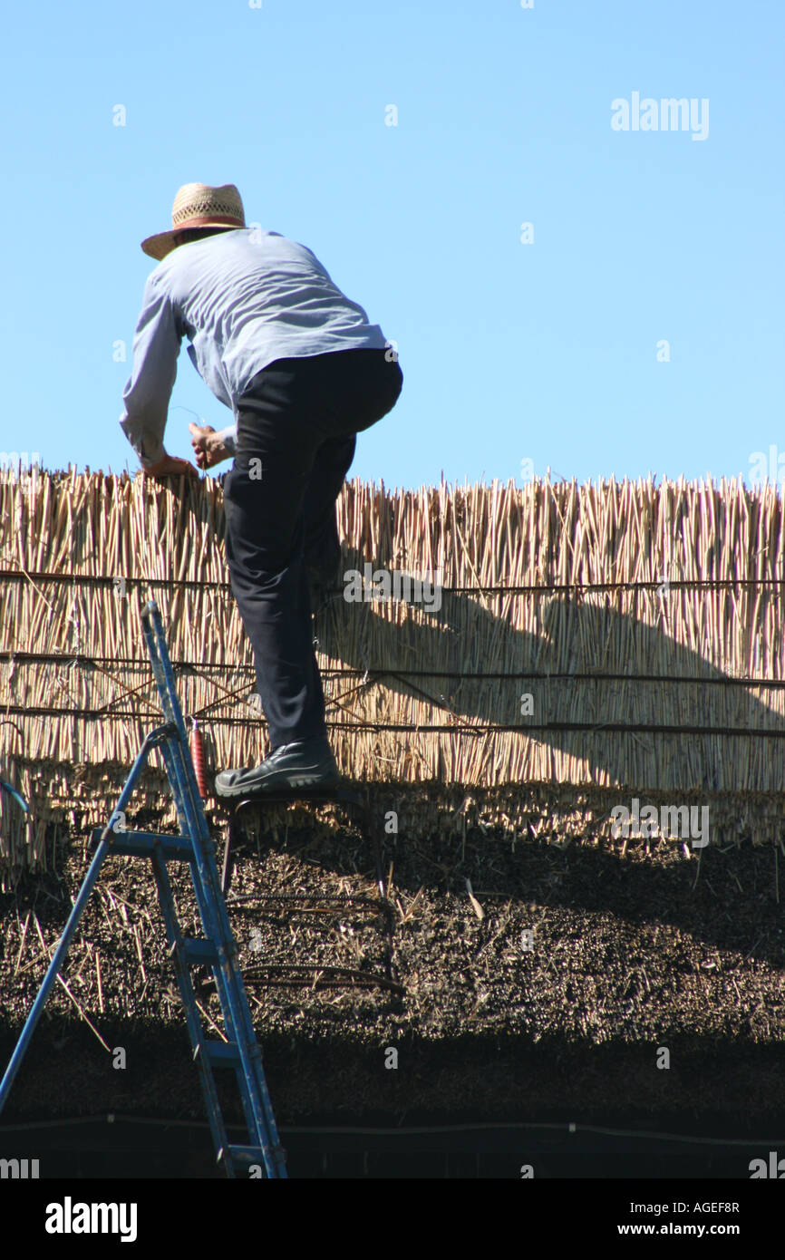 Mann arbeitet auf Reetdach in Ballinrobe, County Mayo, Irland Stockfoto