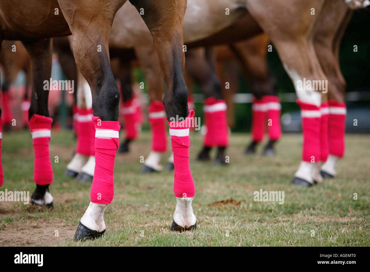 Cowdray Park Polo. Midhurst, West Sussex, England Stockfoto