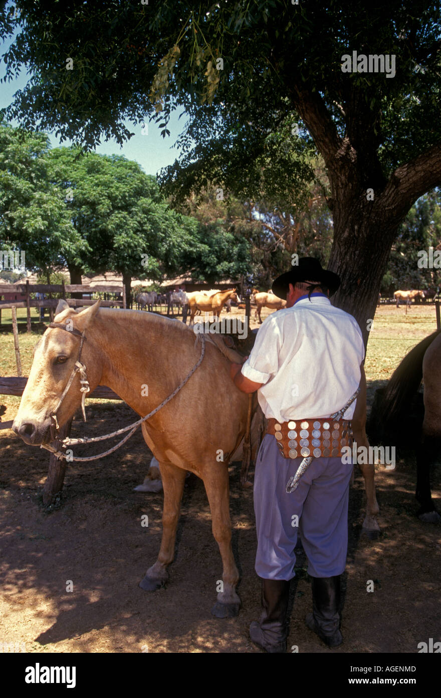 Argentinischen Volkes, erwachsener Mann, Männlich, Gaucho, Estancia Santa Susana, Stadt, Los Cardales, Provinz Buenos Aires, Argentinien Stockfoto