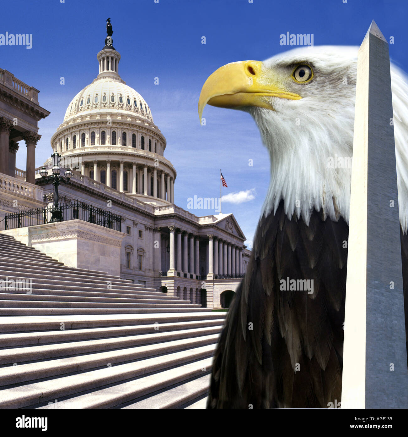Washington DC Montage - USA Stockfoto