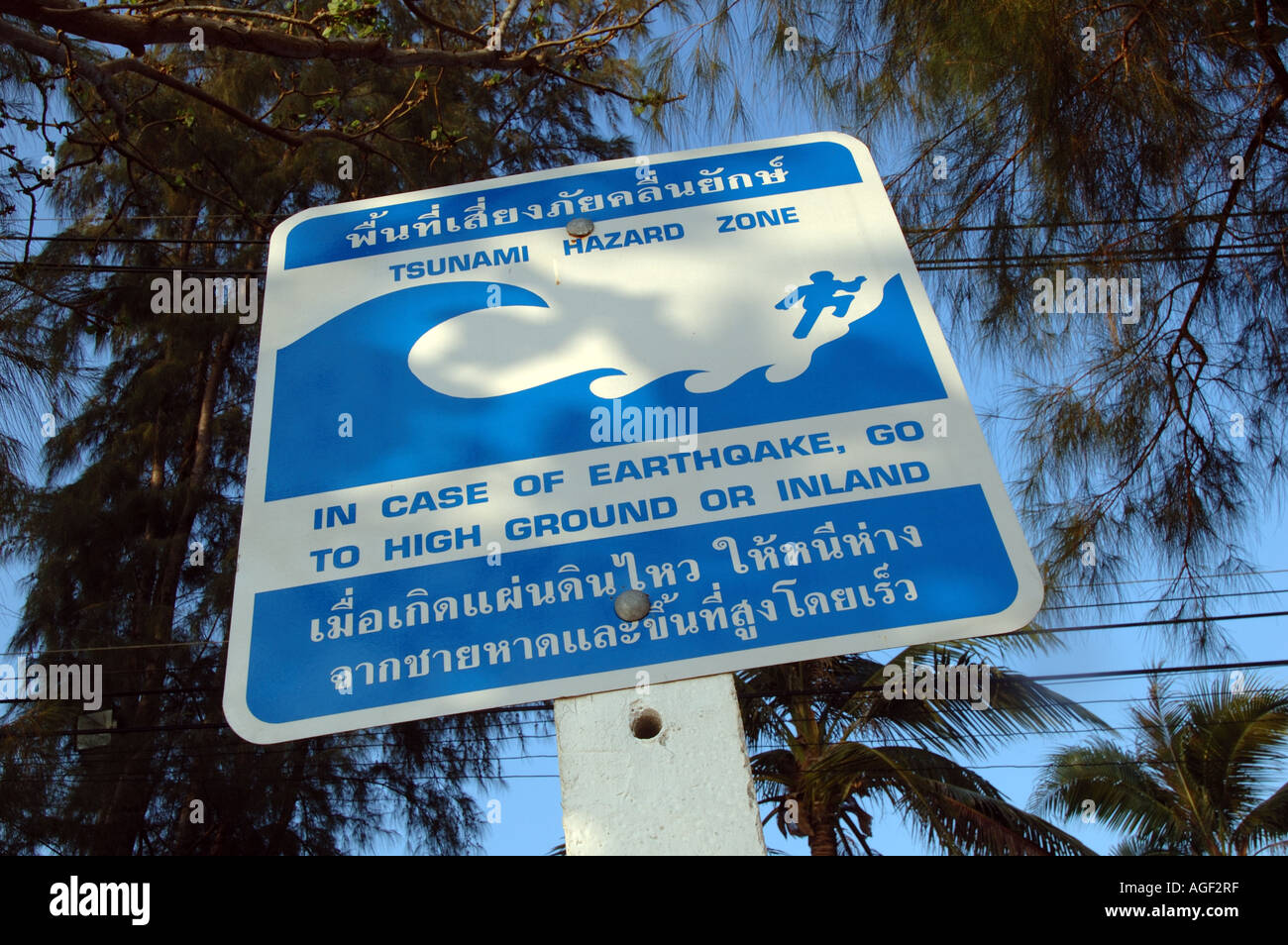 Tsunami-Warnschild Rettungsweg. Stockfoto