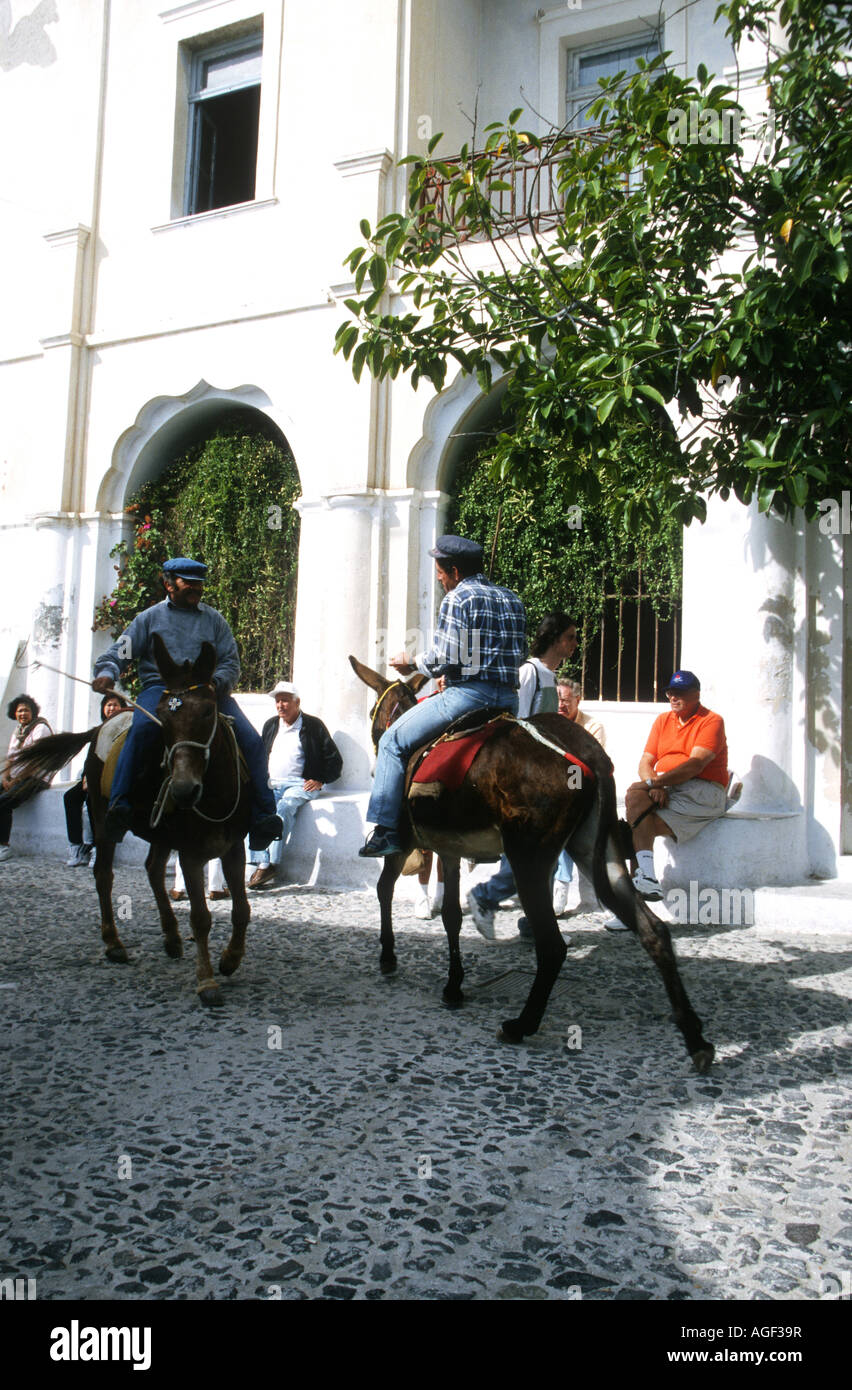 Esel warten auf Touristen in Fira, dem Hauptort auf Thhe Insel Santorini, Griechenland im Mittelmeer Stockfoto