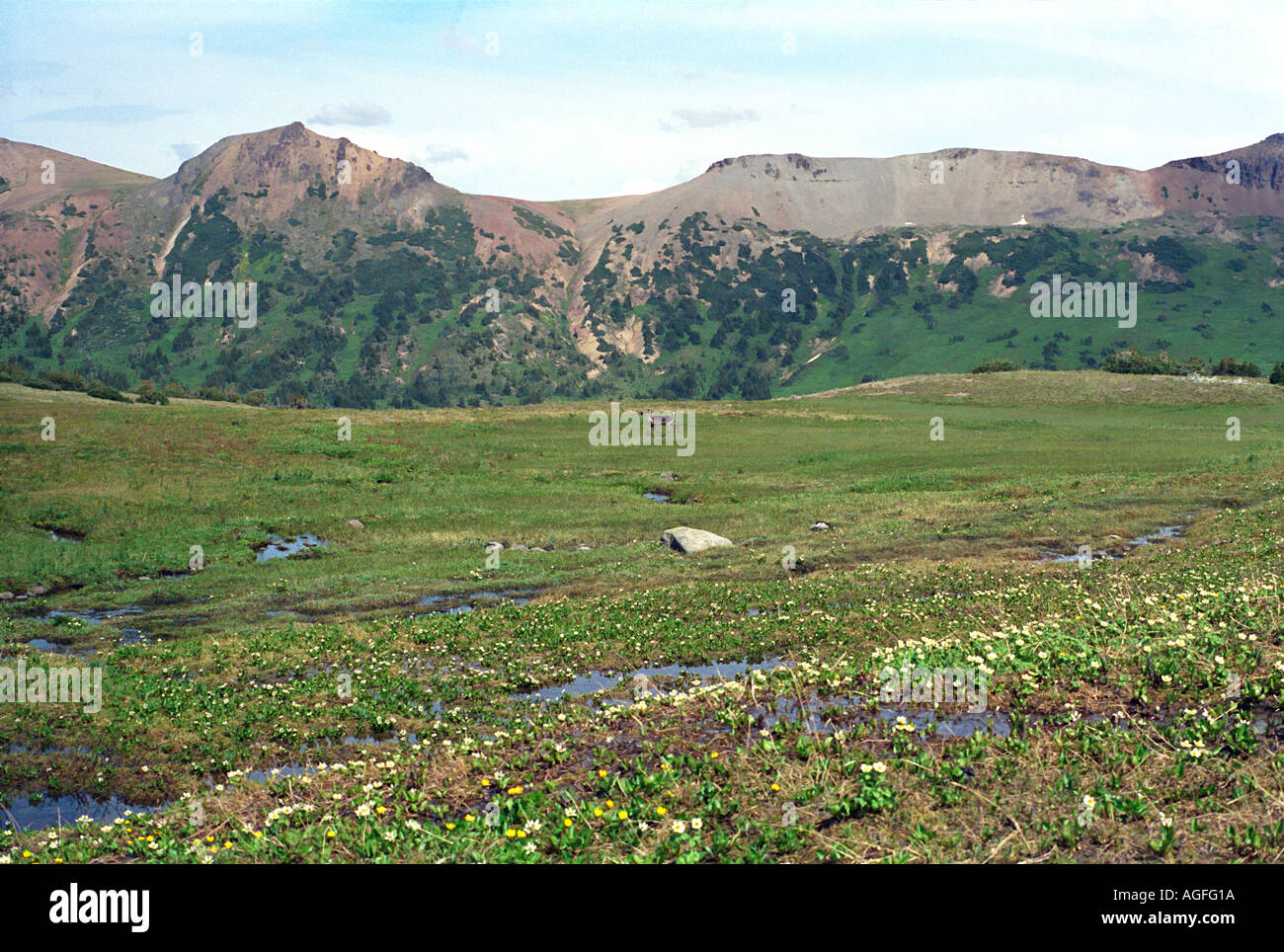 Wandern die Rainbow Bergkette in Tweedsmuir Provincial Park-British Columbia-Kanada Stockfoto
