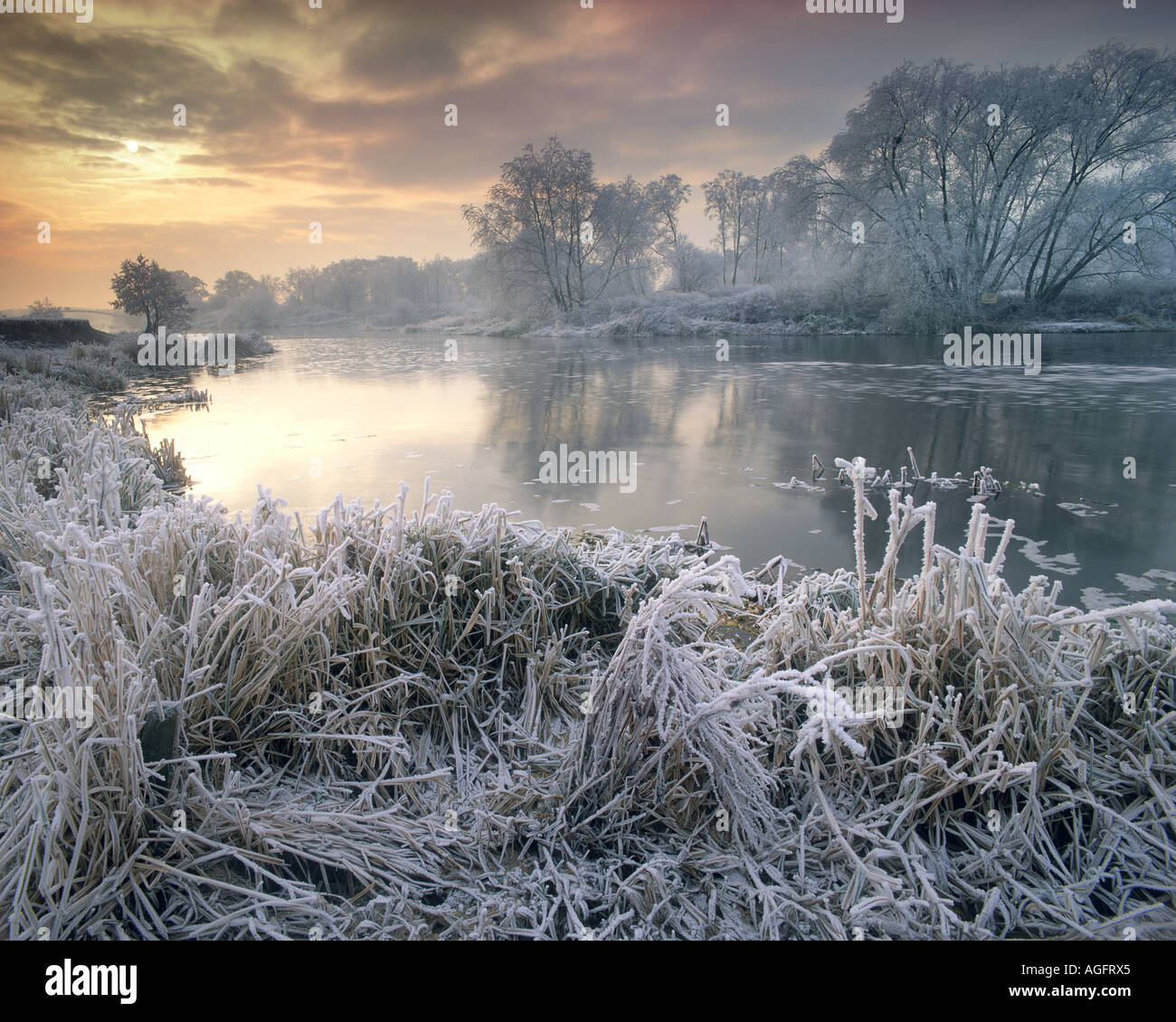 GB - WORCESTERSHIRE: Winter entlang Fluß Avon Stockfoto