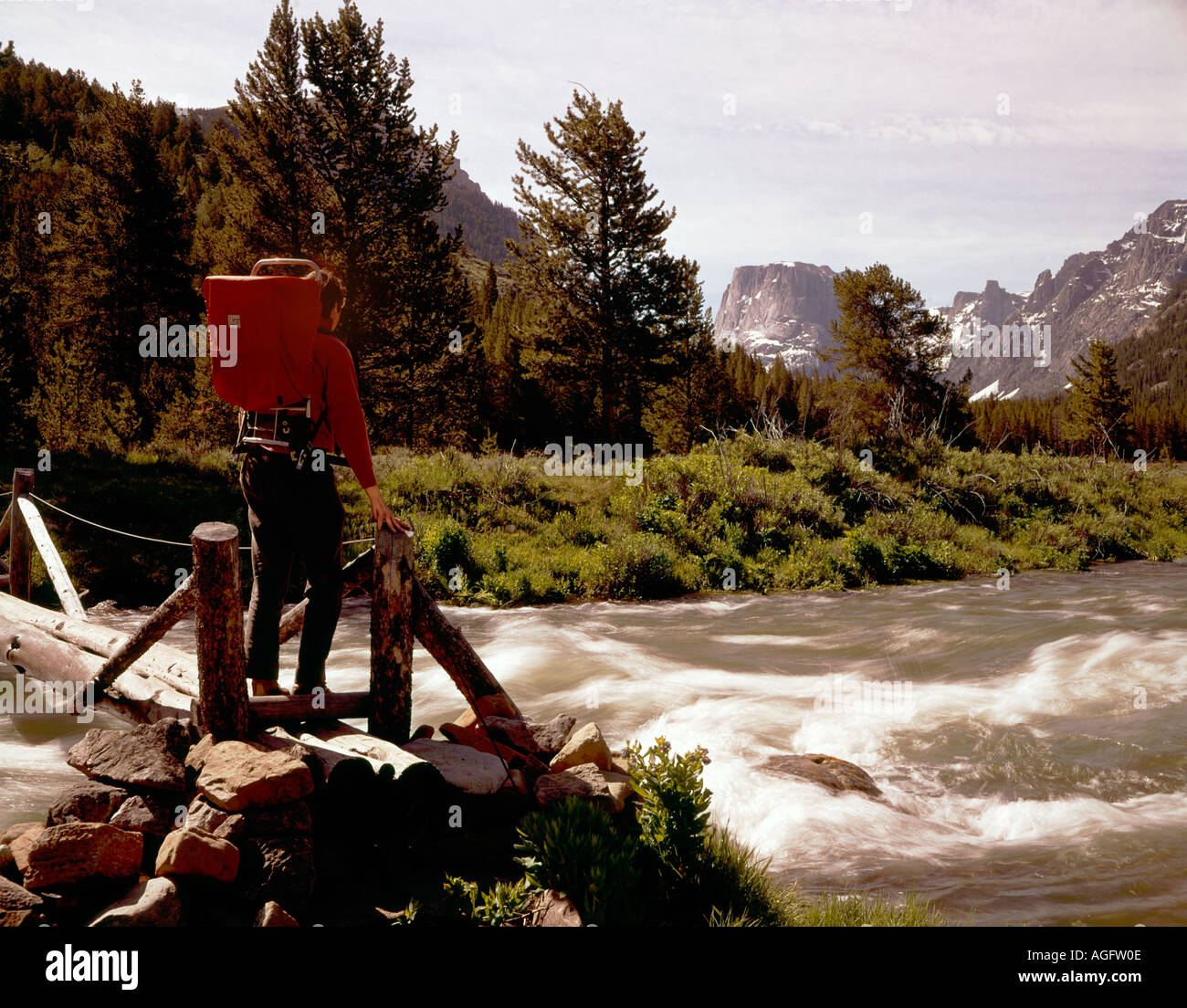 Green River Seen sind schnell fließenden Bach in die Wind River Wilderness Area in Wyoming abgelassen. Stockfoto