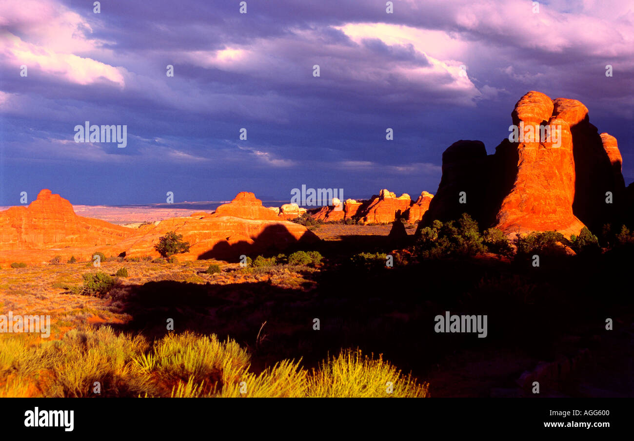 Teufel GARDENArches National Park in der Nähe von Moab Utah Stockfoto