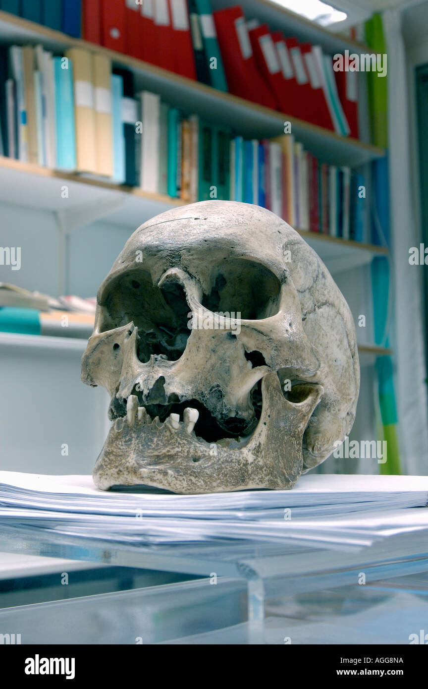 menschliche Schädel eines Mordopfers auf Stapel von Dokumenten (ungelöste Morde) in einer forensischen Labor/Abteilung Stockfoto