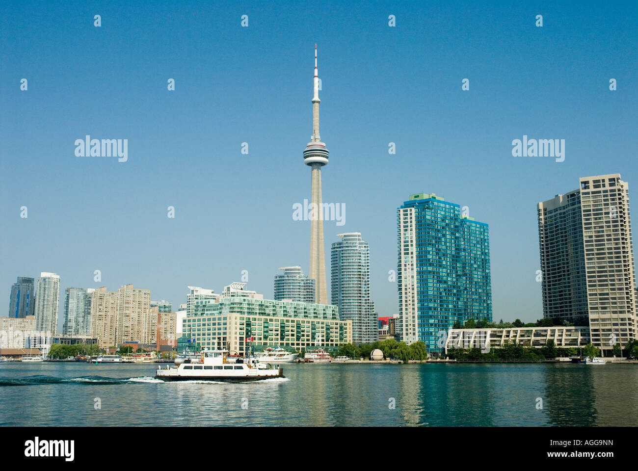 Blick auf den CN Tower und Toronto Harbour front Stockfoto