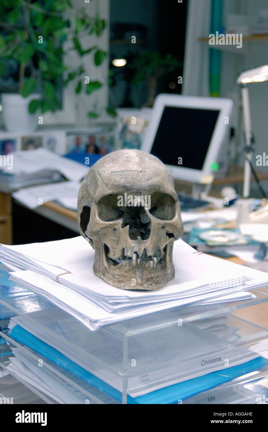 menschliche Schädel eines Mordopfers auf Stapel von Dokumenten (ungelöste Morde) in einer forensischen Labor/Abteilung Stockfoto