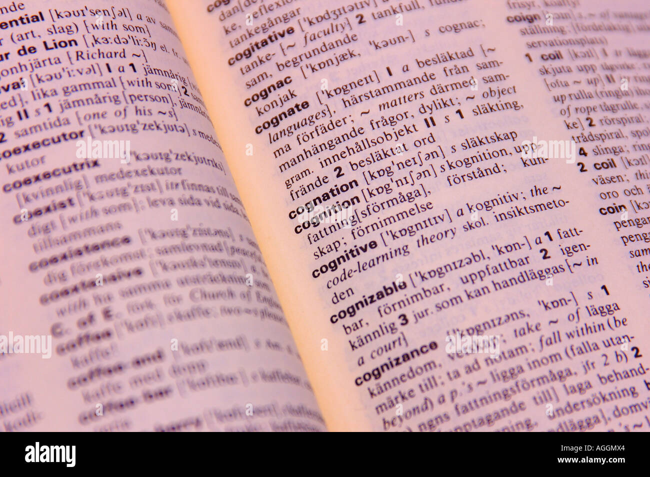 Englisch-Schwedisch Wörterbuch mit dem Wort Wahrnehmung, kognitive etc.. Stockfoto