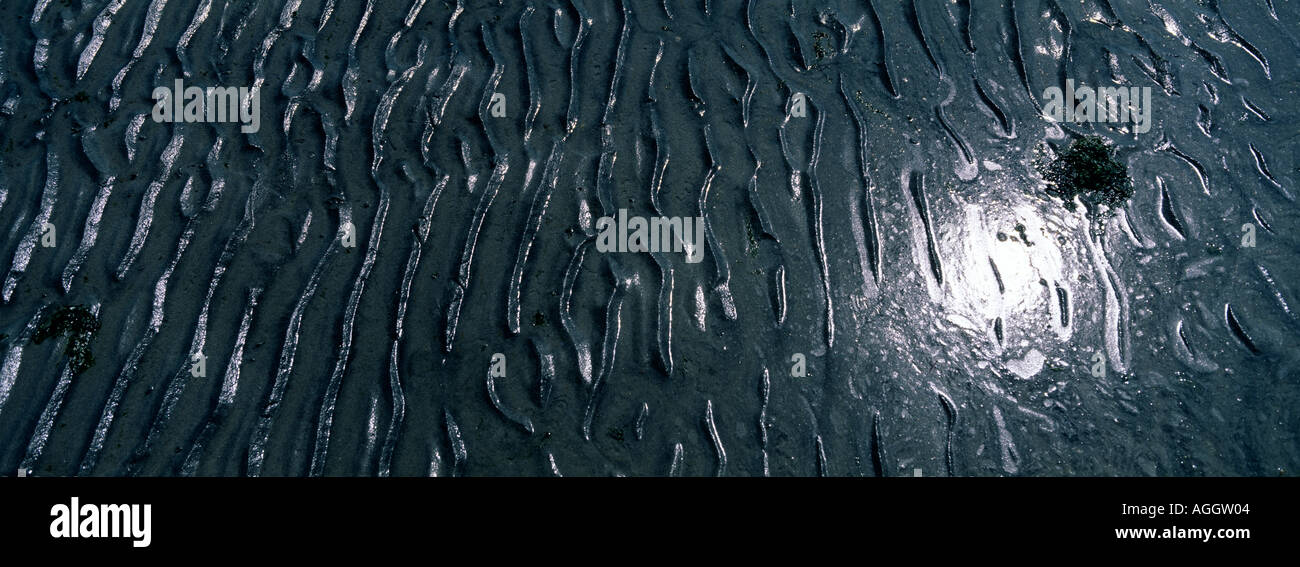 Kanada-British Columbia-Sommer Sonne spiegelt sich in nassen Sand am Miracle Beach Provincial Park auf Vancouver Island Stockfoto
