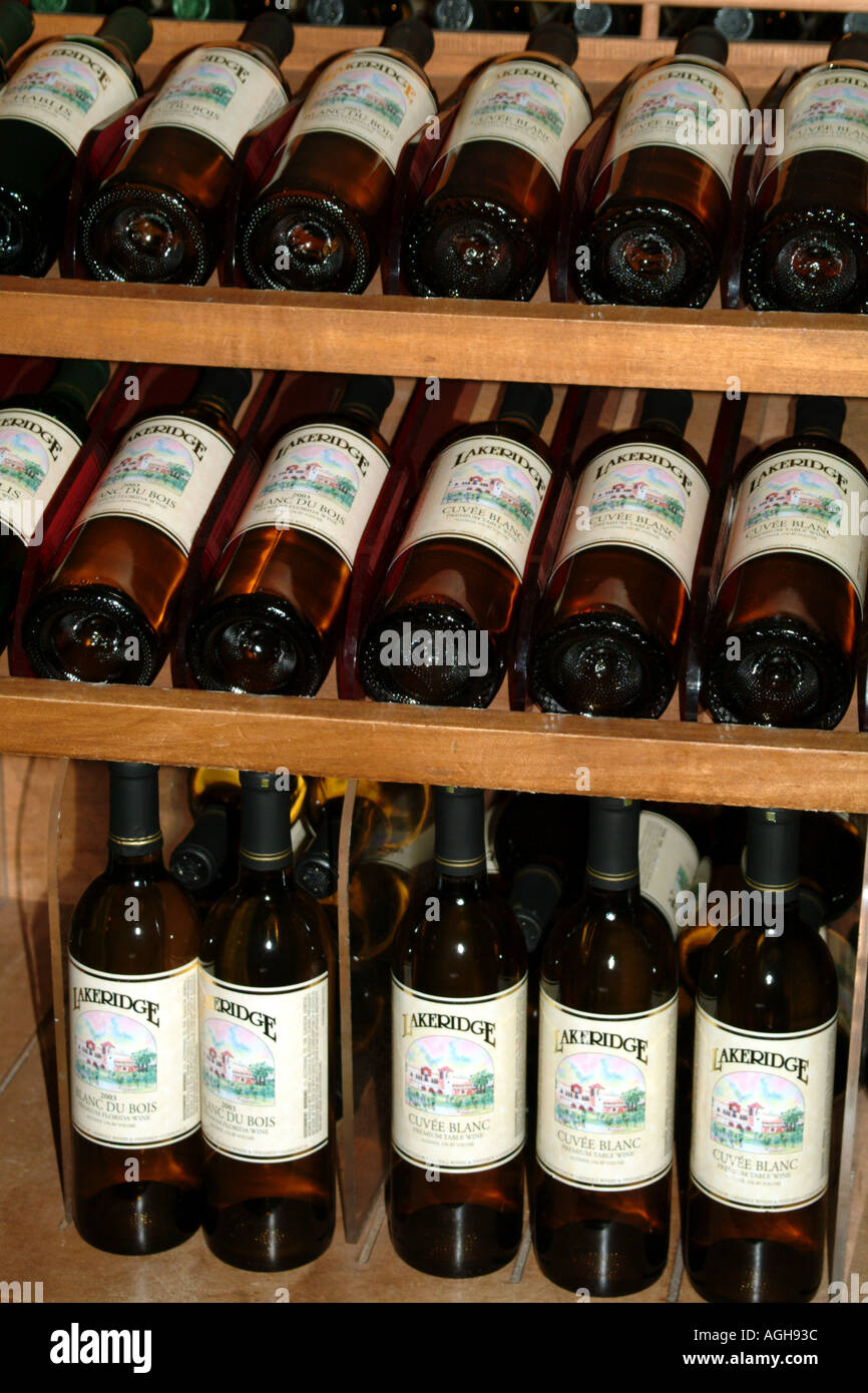 Lakeridge Winery und Weinberge in Clermont in der Nähe von Orlando Florida fl USA Flaschenregal anzeigen Stockfoto