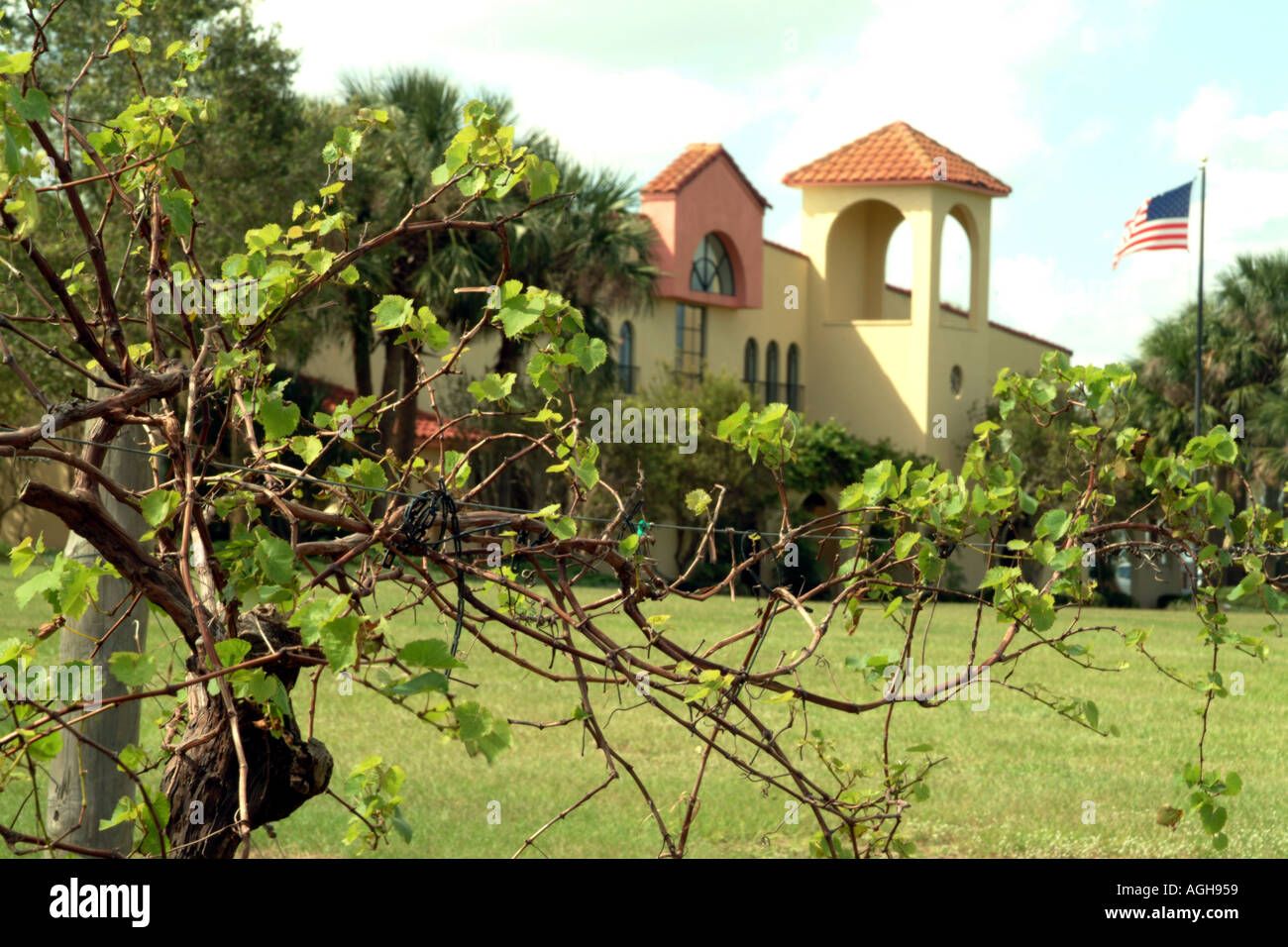 Lakeridge Winery und Weinberge in Clermont in der Nähe von Orlando Florida fl USA Stockfoto