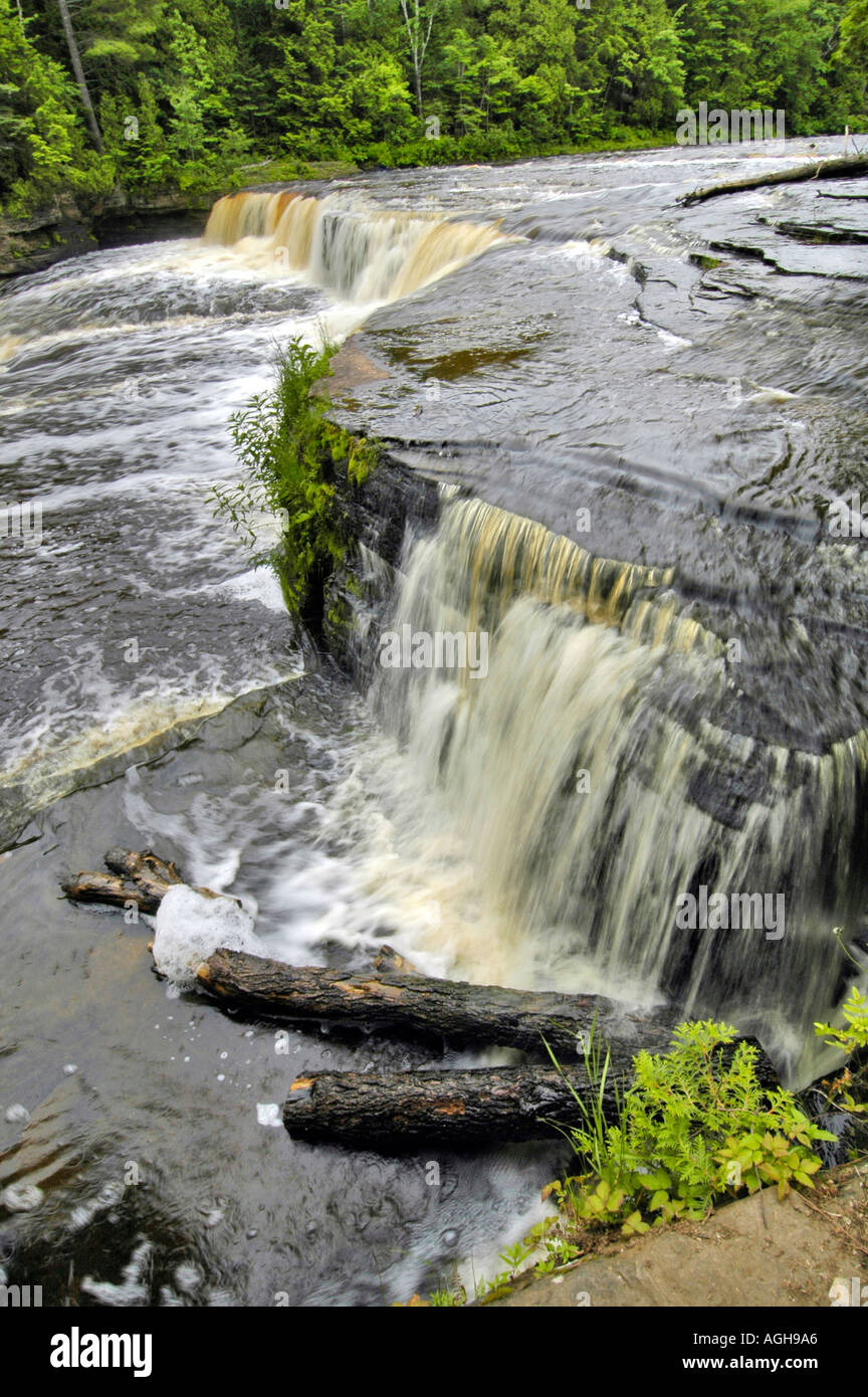 Der Lower Falls im Tahquamenon Falls State Park in Michigan s obere Halbinsel Stockfoto