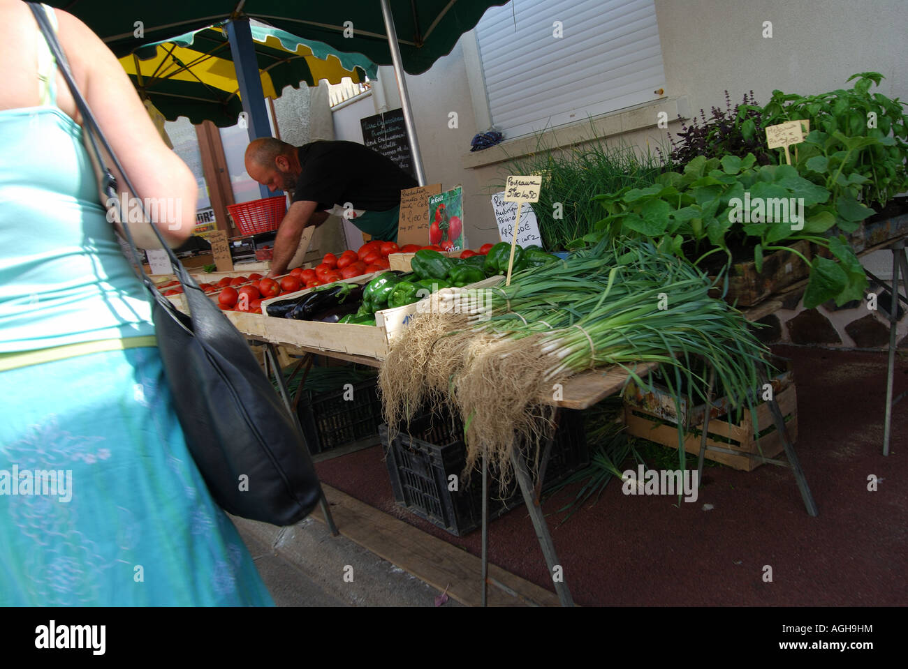Obst und Gemüse Marktstand in St. Gilles Croix de vie, Vendee, Frankreich Anzahl 2530 Stockfoto