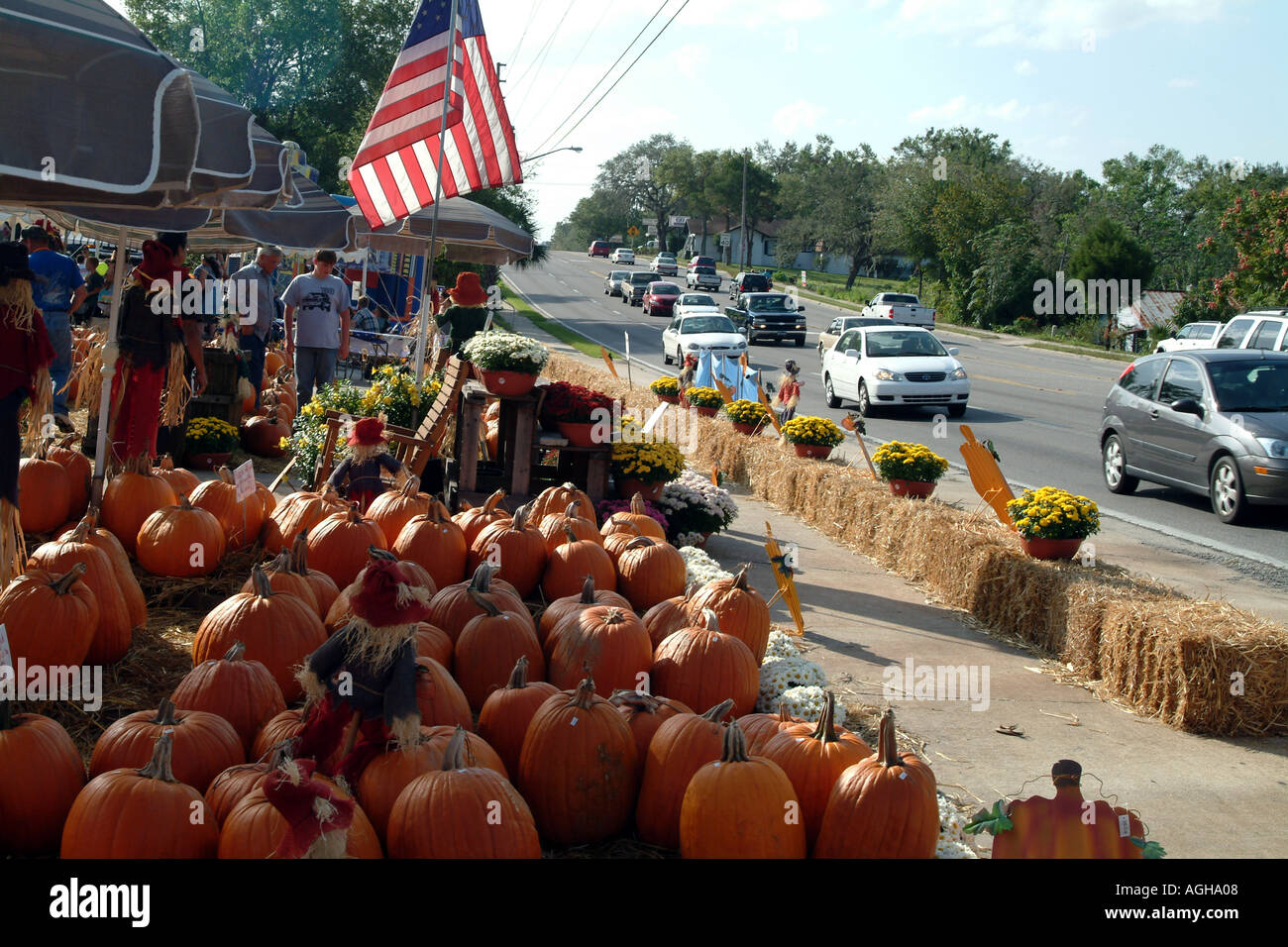 Kürbisse zum Verkauf auf der Straße Autobahn bei Clermont Florida fl USA Stockfoto