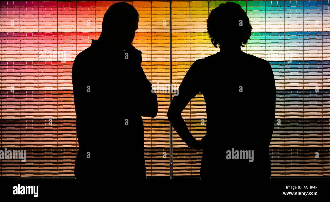 Haus-und Wohnungseigentümer auswählen Farbproben aus einer Paint Shop Farbkarte Stockfoto