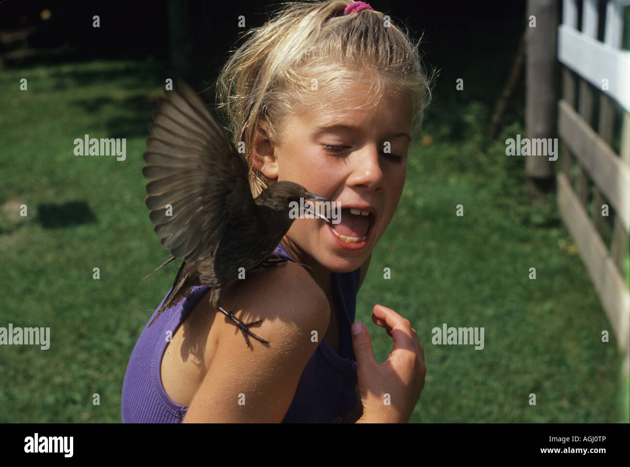 Girl with PET Starling, von Gijsbert van Frankenhuyzen/Dembinsky Photo Assoc Stockfoto