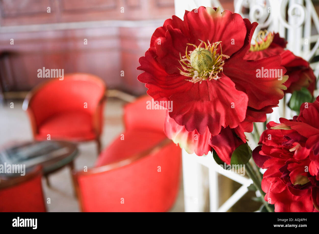 Nahaufnahmen von Blumen Stockfoto