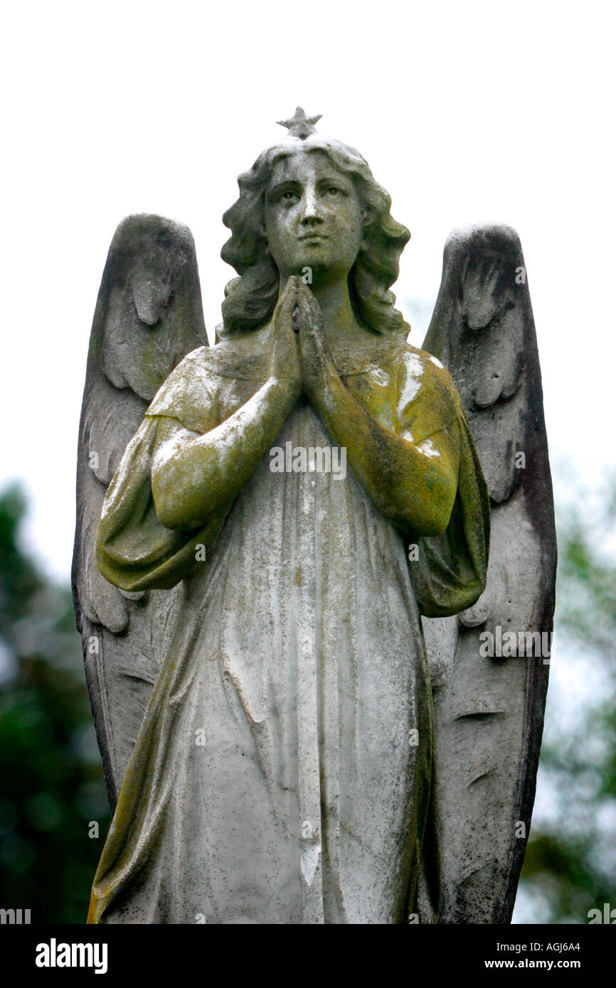 Ein Engel betet Stockfoto